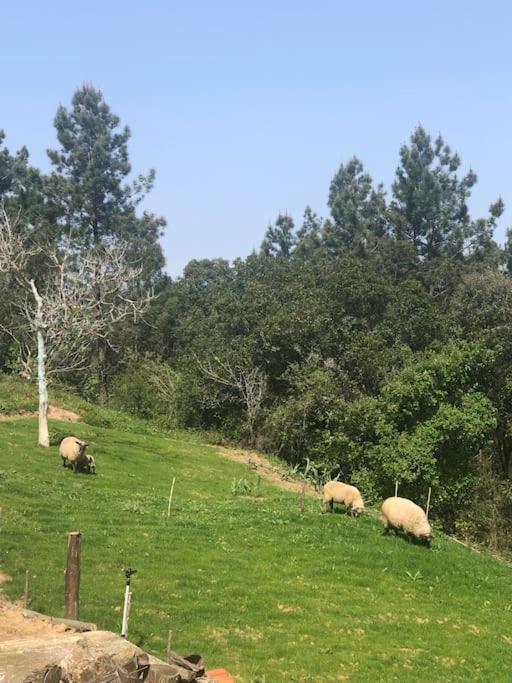 Quinta Da Casa Azul Holiday home